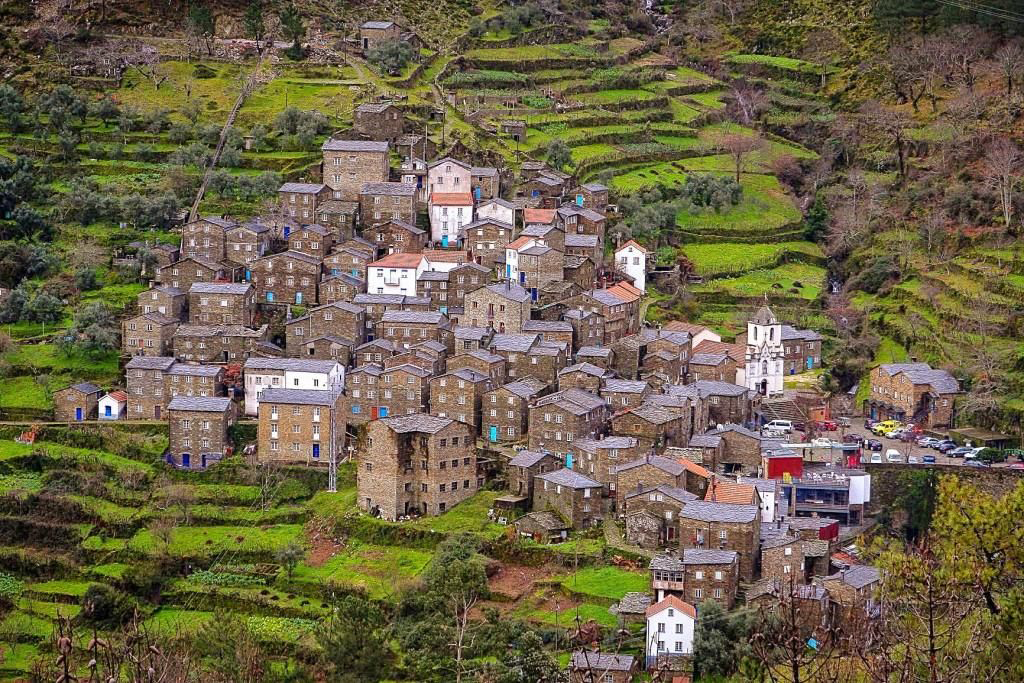 piodao