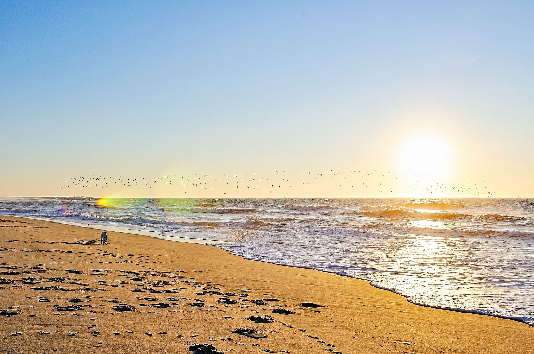 praia sao jacinto aveiro