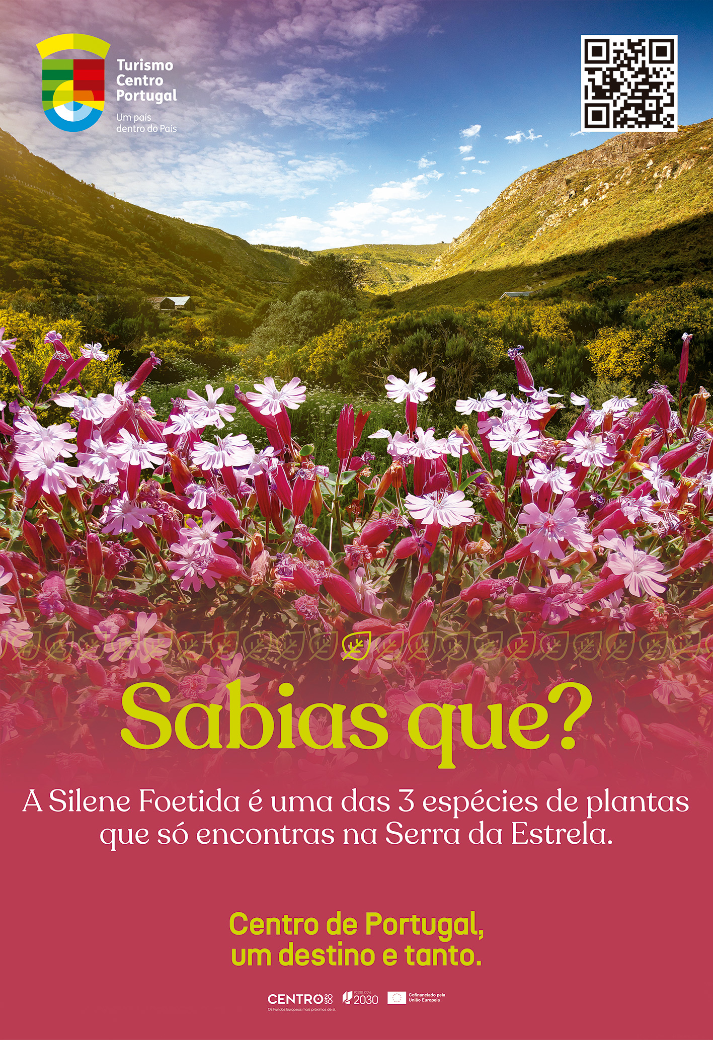 Mupie Plantas Serra