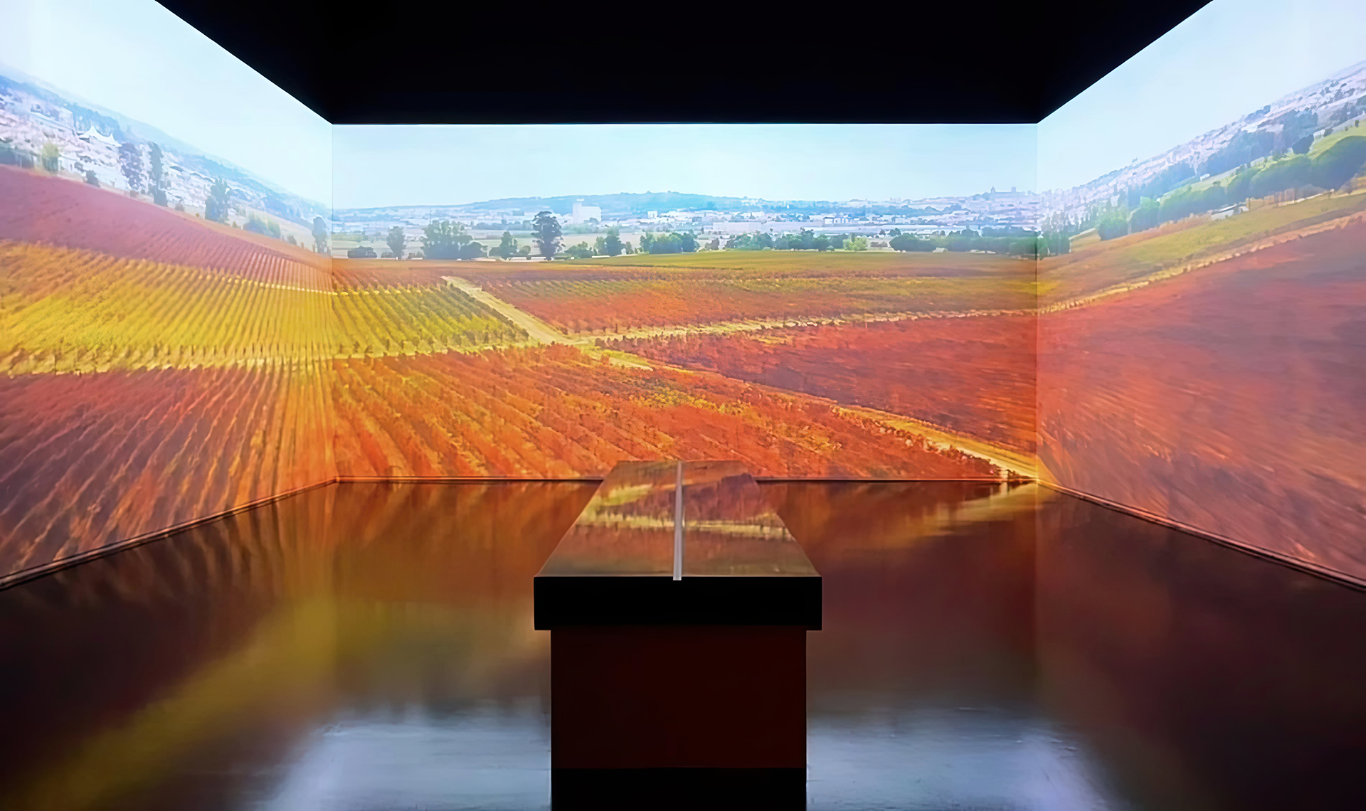 474107211_9377797988939253_5579568186060675128_n-gigapixel-cgi-4x